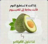 الافوكادو.webp