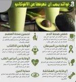 الافوكادو4.webp