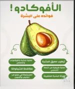 الافوكادو5.webp