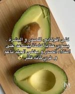 الافوكادو6.webp