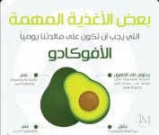 الافوكادو10.webp