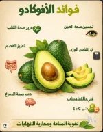 الافوكادو11.webp