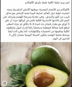 الافوكادو15.webp