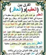 الفرق بين العاقر والعقيم.webp