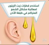 الاذن 2.webp