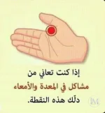 المعده والامعاء.webp