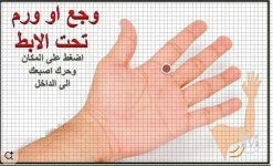 وجع تحت الابط.webp