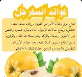 السفرجل.webp
