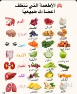 الاطعمة التي تنظف اعضاءك طبيعيا