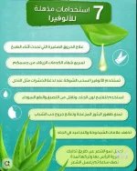 الوفيرا5.webp