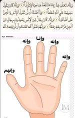 طريقة تسهيل حفظ اية.webp