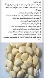 الثوم.webp