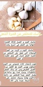الثوم2.webp