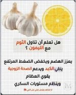 الثوم5.webp