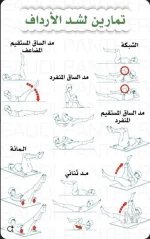 شد الارداف.webp