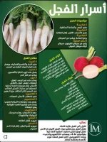 اسرار الفجل.webp