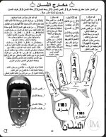 مخارج اللسان.webp