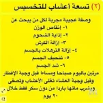 طريقة الاعشاب.webp