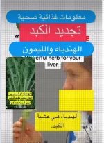 الكبد2.webp