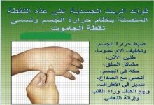 نقطة الجاموت.webp