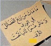 حكم3.webp حكم3.webp