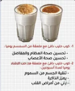 هشاشة العظام.webp