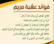 عشبة مريم.webp