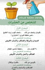 لتنشيط اشجارك والتخلص من الحشرات