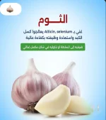 الثوم6.webp