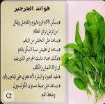الجرجير2.PNG
