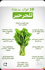 الجرجير3.PNG