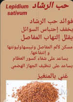حب الرشاد.PNG