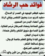 حب الرشاد2.PNG