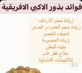 بذور الاكبي