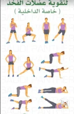 عضلات الفخد.webp