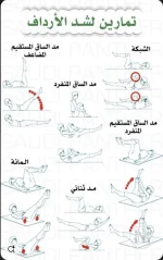 شد الارداف.webp