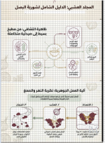 البصل 2.PNG
