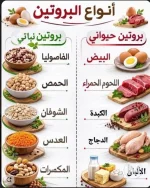 انواع البروتين.webp