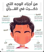 اجزاء الوجه التي ذكرت في القران.webp