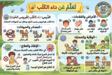 داء الكلب.PNG