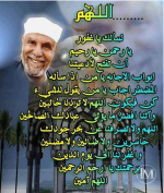 الشعراوي.PNG