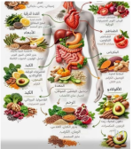 اكلات مفيده.PNG