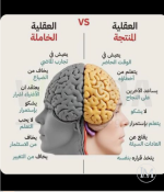 العقليه الخاملة والمنتجه.PNG