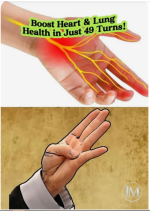 للقلب والرئه.PNG