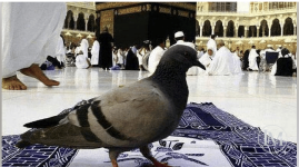 حمام الحرم.PNG