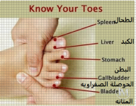 اصابع القدم.PNG