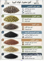 فوائد البذور.PNG