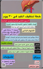 الكبد.PNG