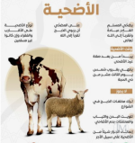 الاضحيه.PNG