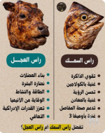 الفرق بين رأس السمك والعجل.PNG الفرق بين رأس السمك والعجل.PNG